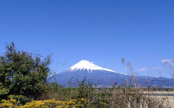 中島屋グランドホテル,テラスレストラン,静岡,ランチ,高級,特別,デート,コース,コース料理,ガーデンラウンジ,日本平,日本だらホテル,むく,鉄板、結久,,ルモンドふじがや,ステーキ,イタリアン,フレンチ,天ぷら,水面,ヴォーシエル,葵タワー,那古亭,なこてい,