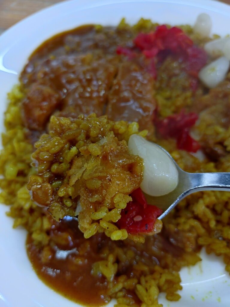 カレーショップきしばた,静岡,吉田町,榛原郡,キシバタ,カレー,人気,ランチ,吉田,定休日,駐車場,営業時間,ドラカツ,ドライカレー,カツカレー