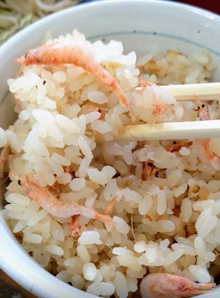 ゆい桜えび館,静岡,観光,清水,見学,子ども,桜えび,サクラエビ,由比,ランチ,定休日,駐車場,お土産,かき揚げ,しらす,定食,そば,まぐろ,天ぷら,桜えび茶屋