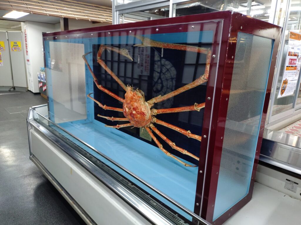 ゆい桜えび館,静岡,観光,清水,見学,子ども,桜えび,サクラエビ,由比,ランチ,定休日,駐車場,お土産,かき揚げ,しらす,定食,そば,まぐろ,天ぷら,桜えび茶屋