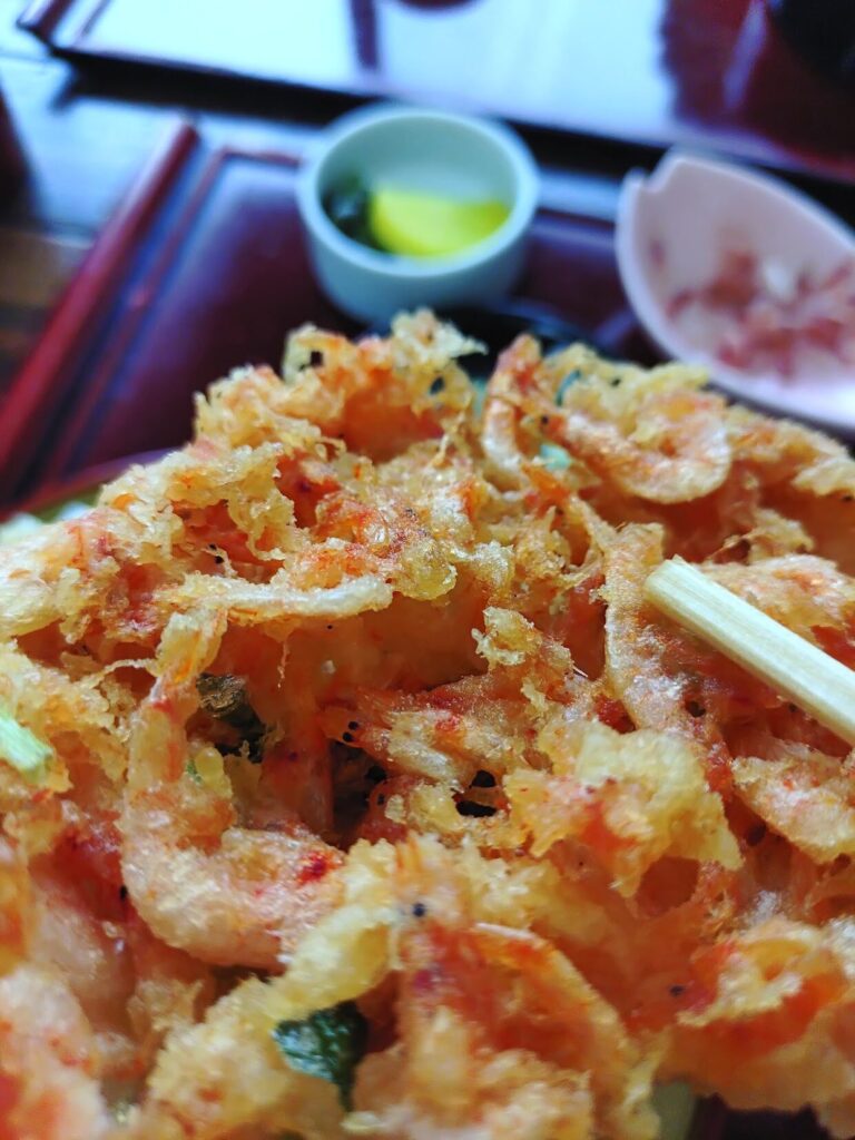 ゆい桜えび館,静岡,観光,清水,見学,子ども,桜えび,サクラエビ,由比,ランチ,定休日,駐車場,お土産,かき揚げ,しらす,定食,そば,まぐろ,天ぷら,桜えび茶屋