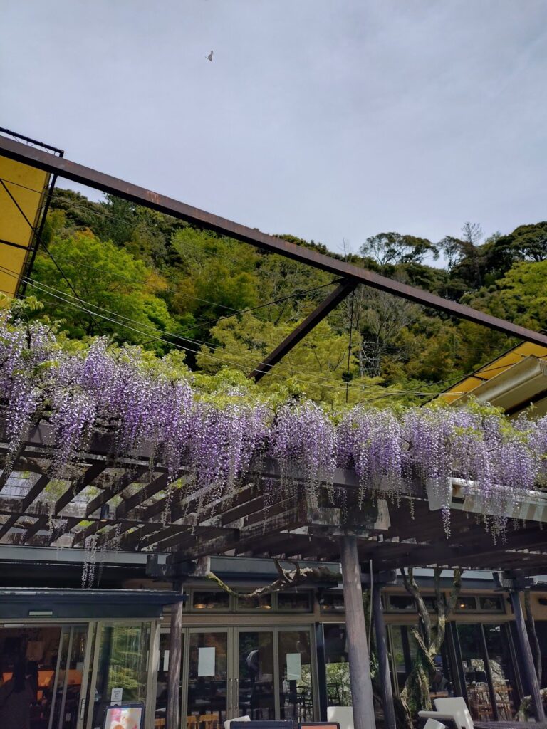 ベーカリー＆テーブル東府や, 修善寺,カフェ,足湯, 伊豆,パン, おしゃれ, 東府やベーカリー ,東府や,メニュー, ランチ,人気,とうふや,足湯,静岡,パン,モーニング,定休日,営業時間,予約