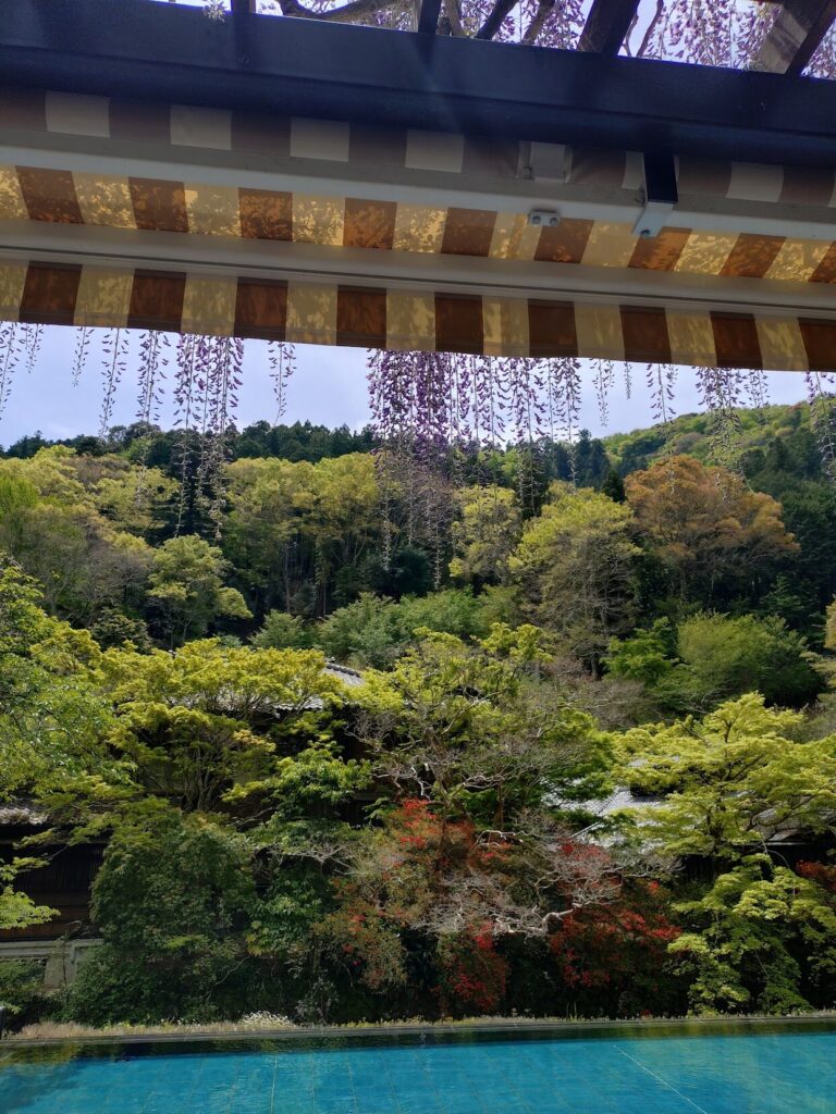 ベーカリー＆テーブル東府や, 修善寺,カフェ,足湯, 伊豆,パン, おしゃれ, 東府やベーカリー ,東府や,メニュー, ランチ,人気,とうふや,足湯,静岡,パン,モーニング,定休日,営業時間,予約