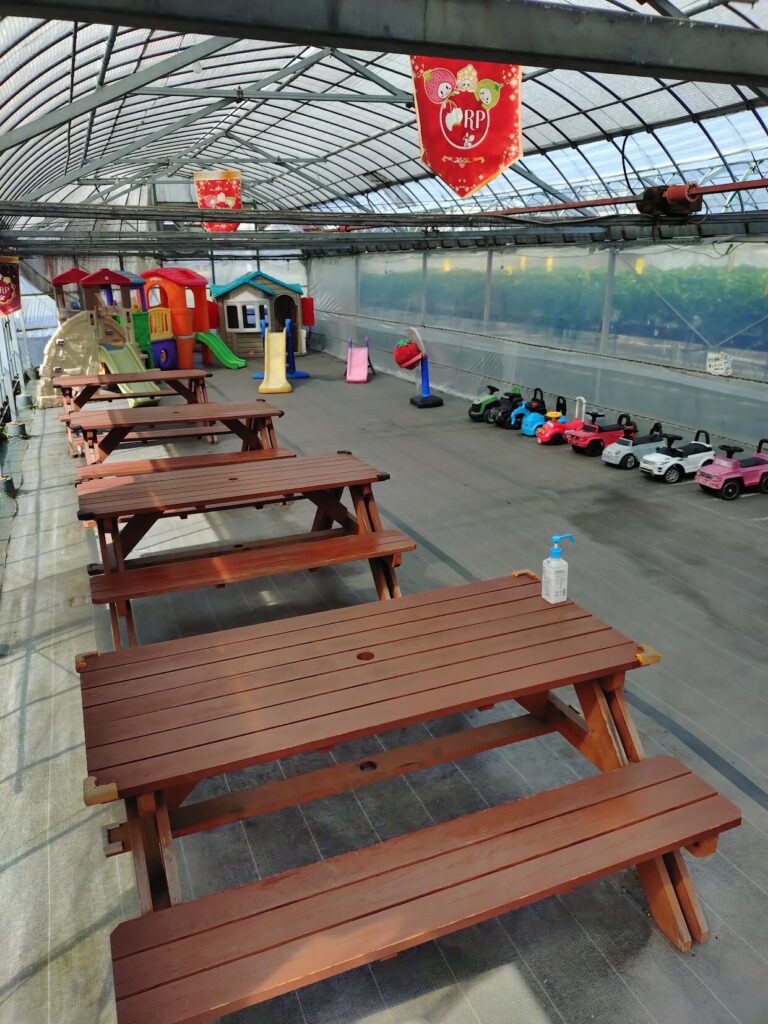 富士宮,レッドパール,ドリンク, レ富士, カフェ,静岡,いちごドリンク,
いちご狩り,定休日,いつまで,駐車場,営業時間,子ども,いちご狩り,いちご摘み,やってる