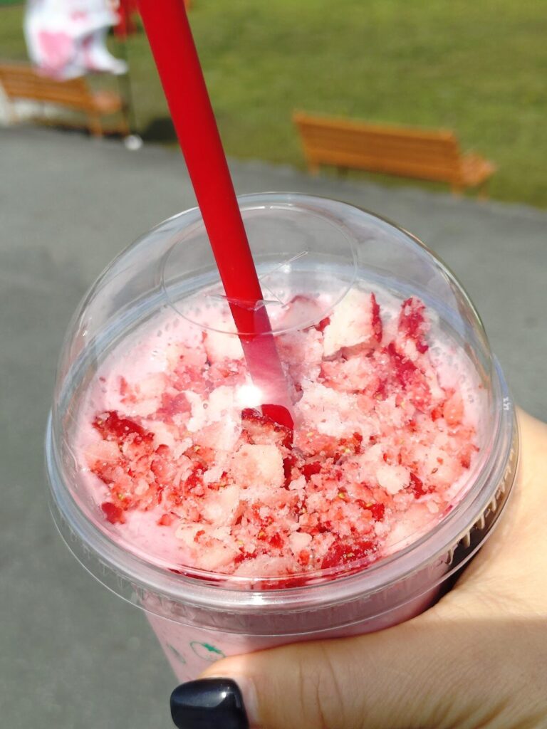 富士宮,レッドパール,ドリンク, レ富士, カフェ,静岡,いちごドリンク,
いちご狩り,定休日,いつまで,駐車場,営業時間,子ども,いちご狩り,いちご摘み,やってる