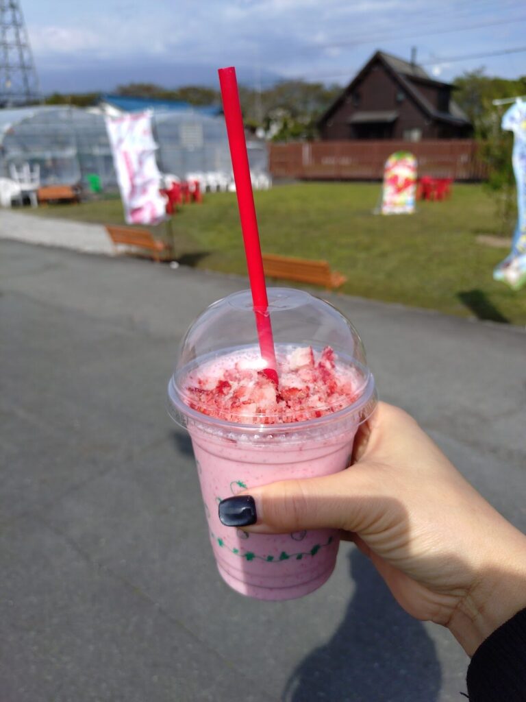 富士宮,レッドパール,ドリンク, レ富士, カフェ,静岡,いちごドリンク,
いちご狩り,定休日,いつまで,駐車場,営業時間,子ども,いちご狩り,いちご摘み,やってる