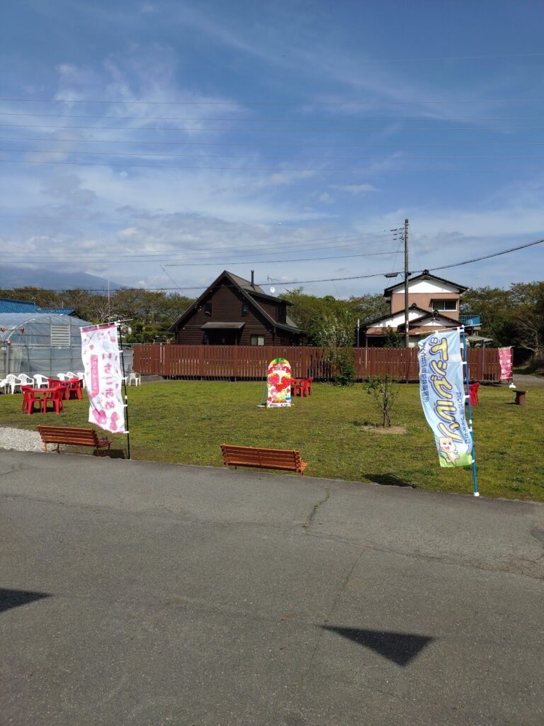 富士宮,レッドパール,ドリンク, レ富士, カフェ,静岡,いちごドリンク,
いちご狩り,定休日,いつまで,駐車場,営業時間,子ども,いちご狩り,いちご摘み,やってる