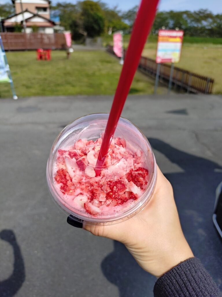 富士宮,レッドパール,ドリンク, レ富士, カフェ,静岡,いちごドリンク,
いちご狩り,定休日,いつまで,駐車場,営業時間,子ども,いちご狩り,いちご摘み,やってる