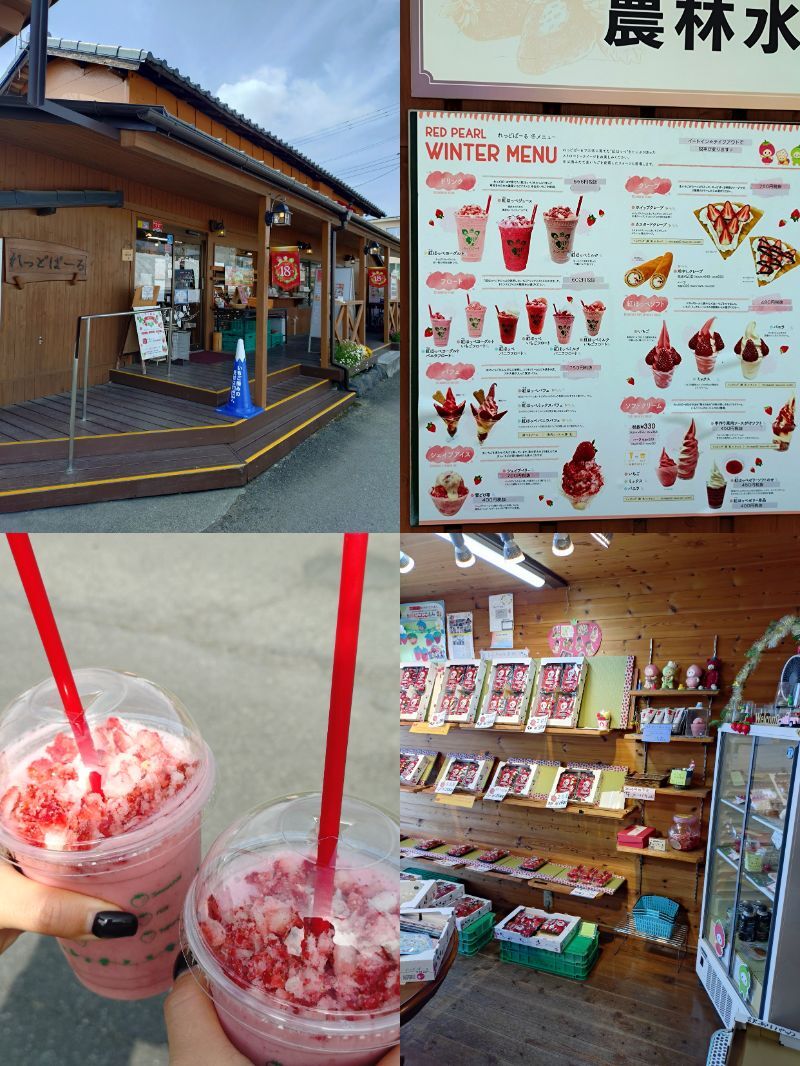 富士宮,レッドパール,ドリンク, レ富士, カフェ,静岡,いちごドリンク, いちご狩り,定休日,いつまで,駐車場,営業時間,子ども,いちご狩り,いちご摘み,やってる