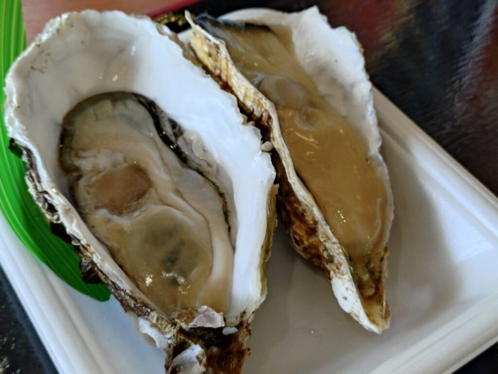 沼津港 食べ歩き, 沼津港 グルメ, 沼津港 ランチ, 沼津港 海鮮, 沼津港 おすすめ, 沼津港 子連れ,海鮮,モーニング,ディナー